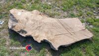 Heavy oak slab, approx 1.5m long, 560mm wide, 60mm thick - 2