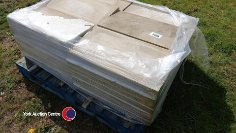 26 Once weathered stone coping 60 cm x 30 cm