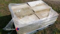 26 Once weathered stone coping 60 cm x 30 cm - 2