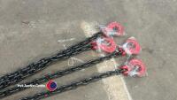 4 Leg lifting chain, unused, 1m legs - 3