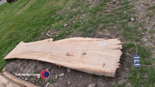 Beech tree trunk slabs approximately 50mm thick