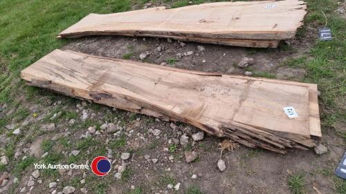 Beech tree trunk slabs approximately 50mm thick