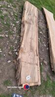 Beech tree trunk slabs approximately 50mm thick - 2
