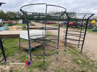 Metal tree guard