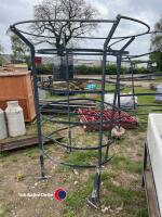 Metal tree guard - 3