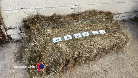 25 x small bales of hay, collection from YO30 1AY