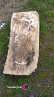 2 x Sycamore slabs, 43in x 18in