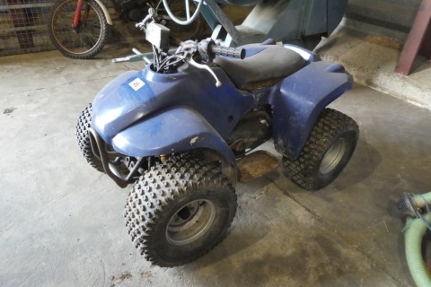 Childs quad bike