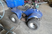 Childs quad bike - 2