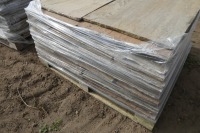 Pallet of Indian stone, appros 11.5sqm - 2