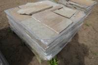 Pallet of Indian stone, approx 21sqm - 2