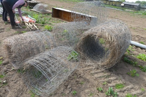 Sheep netting