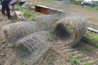 Sheep netting