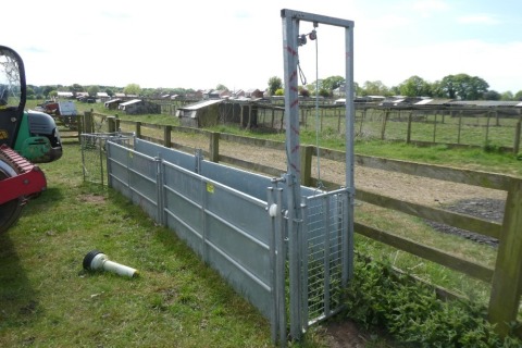 IAE sheep sorting race c/w 4 x 8ft sheeted hurdles, guillotine gate and shedding gate