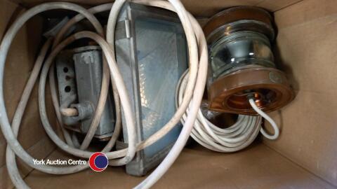 Electric floodlight and electronic 'seahorse' lamp