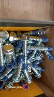 Dewalt blue tipped screws/bolts