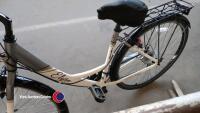 Apollo Elyse Comfort series, Ladies bicycle - White - 4
