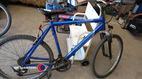Falcon Coloroe 21 bike, blue