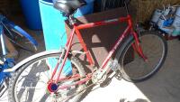 Raleigh Firefly bike, red