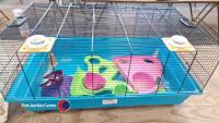 Bird cage and hamster cage - 2