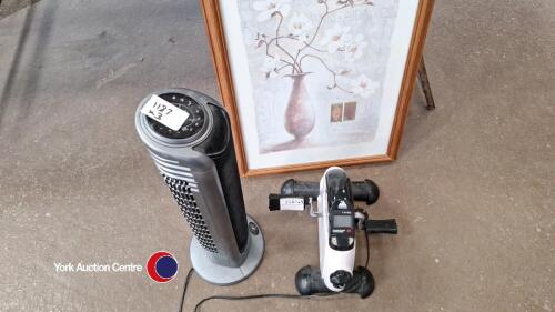 Evoland exercise pedal machine, Bionaire oscillating floor fan and floral print in pine frame