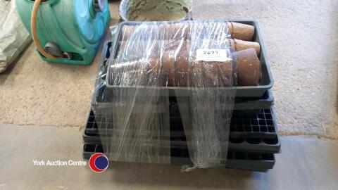 Large collection of seed trays and pots