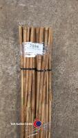 40 x 4ft garden canes - 2