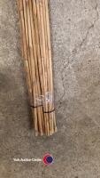 40 x 4ft garden canes - 3