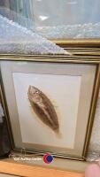 4 x watercolour paintings of fish plus a watercolour of sailing boat - 2