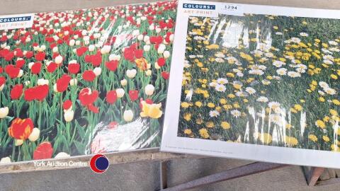 2 x art prints