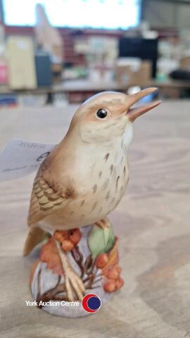 Royal Worcester Thrush 3234