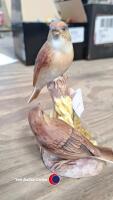 Royal Worcester Linnets 3365 - 2