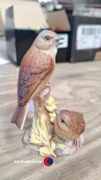 Royal Worcester Linnets 3365 - 3