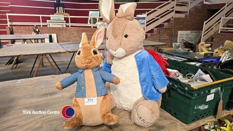 2 x soft toy Peter Rabbits