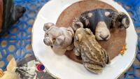 Farmyard animals - 2