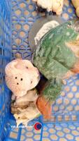 Farmyard animals - 5