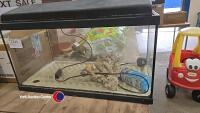 Aquarium with accessories