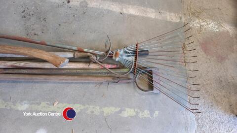 Selection of garden tools
