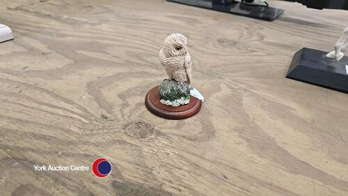 Border fine arts Snowy Owl by Russell Willis