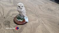 Border fine arts Snowy Owl by Russell Willis - 2