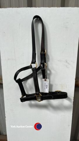 Full Leather Headcollar with Brass fittings.