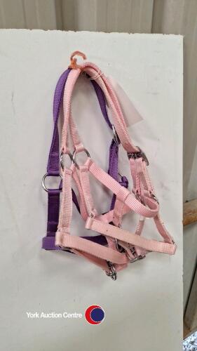 Shetland headcollars - 3