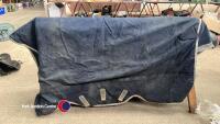 6ft Rambo medium weight rug - 3