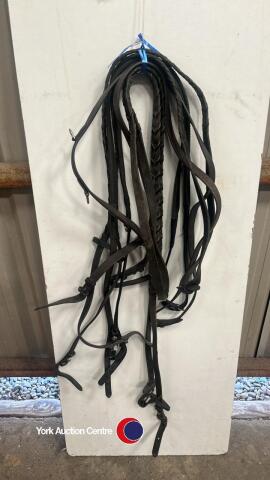 Bundle of reins