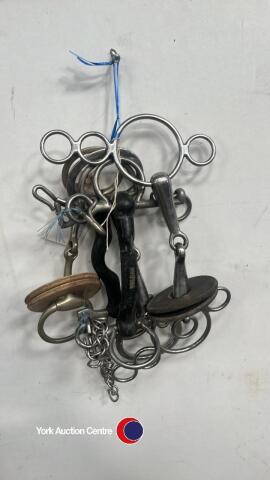 Bundle of bits