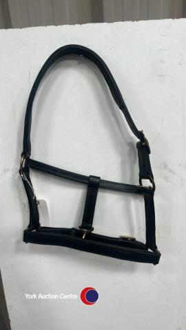 Leather headcollar
