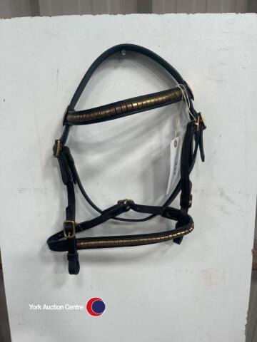 Inhand bridle