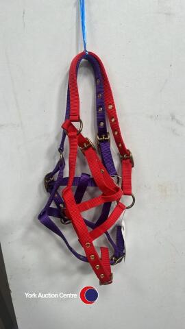 2 Pony headcollars