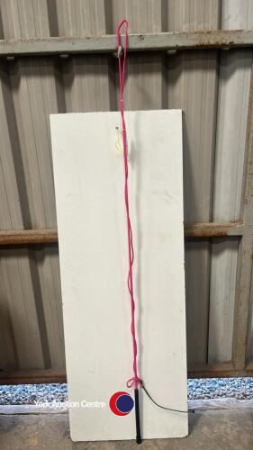 New lunge whip