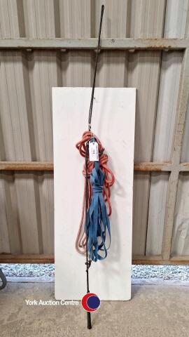 lunge whip, lunge rope and two long lines